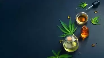 Cannabis Oil